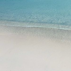 Meet your Posher, Janeth